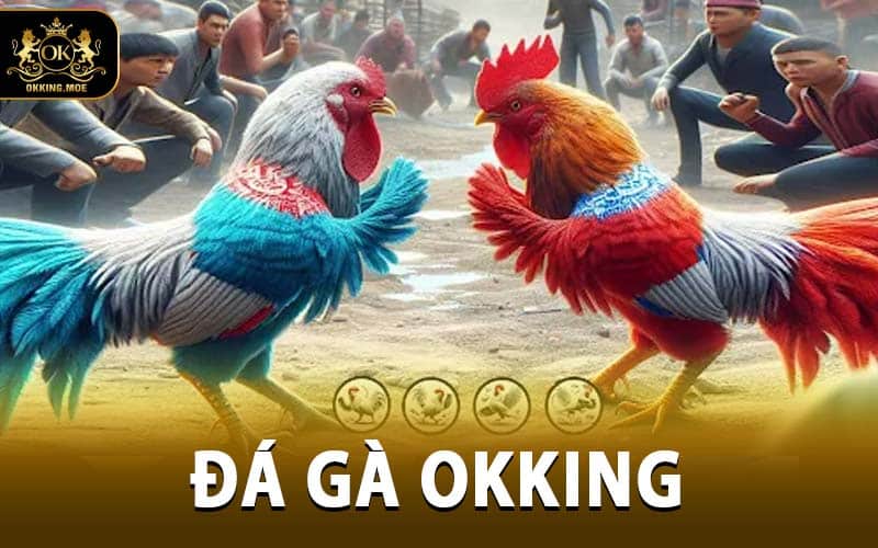 Đá Gà OKKING