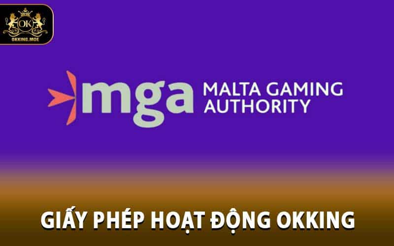 Giấy Phép Hoạt Động OKKING