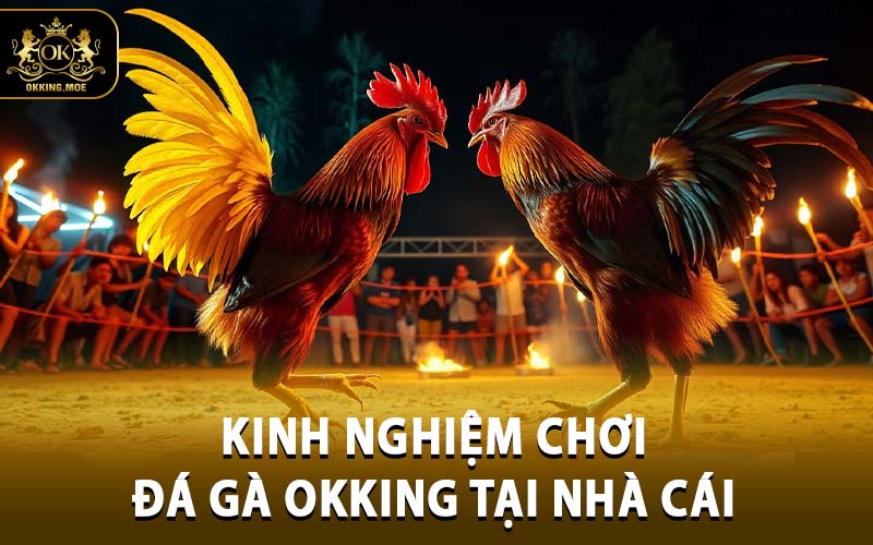 đá gà OKKING